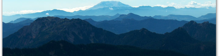 header4.jpg